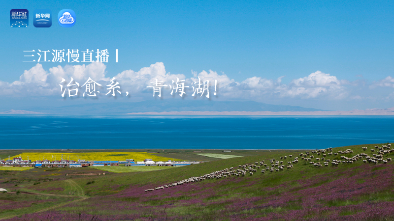 三江源慢直播丨治愈系，青海湖！
